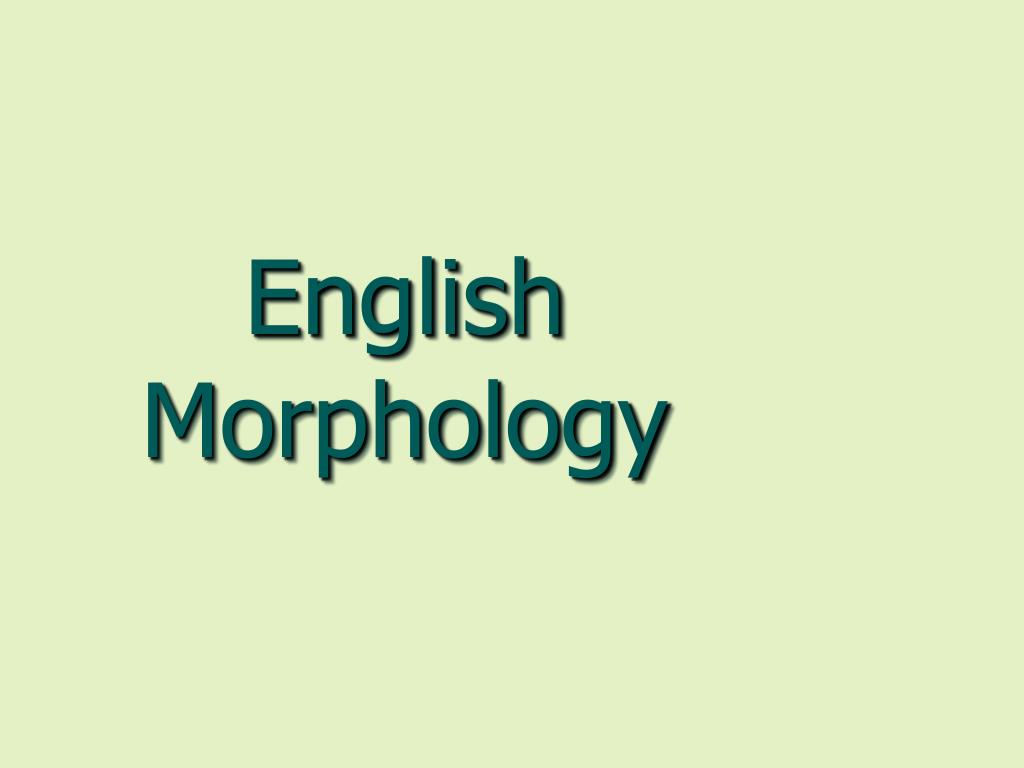 Pekerti Batch 31 - Kelas Latihan-English Morphology