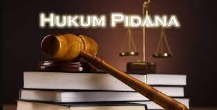 Hukum Pidana - Abdurrakhman Alhakim